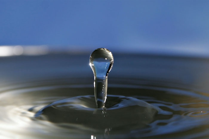 Close-up of water droplet